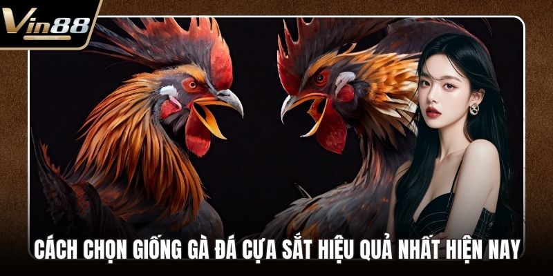 Vảy Huyền Trâm Với Những Bí Mật Chưa Từng Được Tiết Lộ - CAXON.TOP