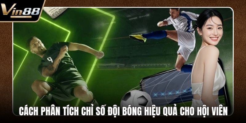 Cá Cược Muay Thái Đỉnh Cao Với Tỷ Lệ Thưởng Hấp Dẫn - CAXON.TOP