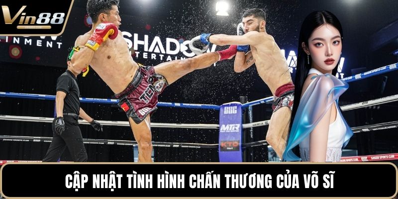 Cá Cược Muay Thái Đỉnh Cao Với Tỷ Lệ Thưởng Hấp Dẫn - CAXON.TOP