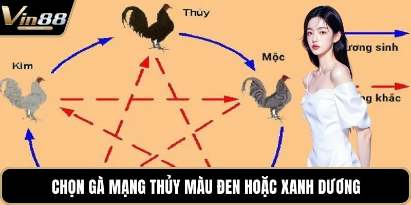 Phong Thủy Trong Đá Gà Mang Đến Cơ Hội Chiến Thắng - CAXON.TOP