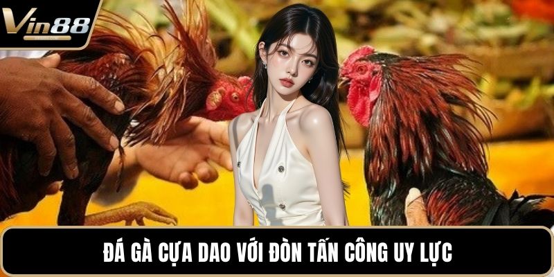 Đá Gà VIN88 - Thiên Đường Chọi Gà Thưởng Cực Khủng - CAXON.TOP