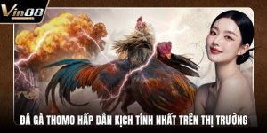 Đá Gà VIN88 - Thiên Đường Chọi Gà Thưởng Cực Khủng - CAXON.TOP