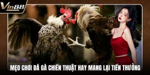 Đá Gà VIN88 - Thiên Đường Chọi Gà Thưởng Cực Khủng - CAXON.TOP