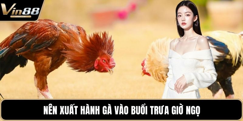 Phong Thủy Trong Đá Gà Mang Đến Cơ Hội Chiến Thắng - CAXON.TOP