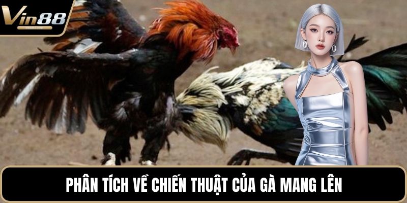 Mẹo Chơi Đá Gà Chiến Thuật Hay Mang Lại Tiền Thưởng - CAXON.TOP