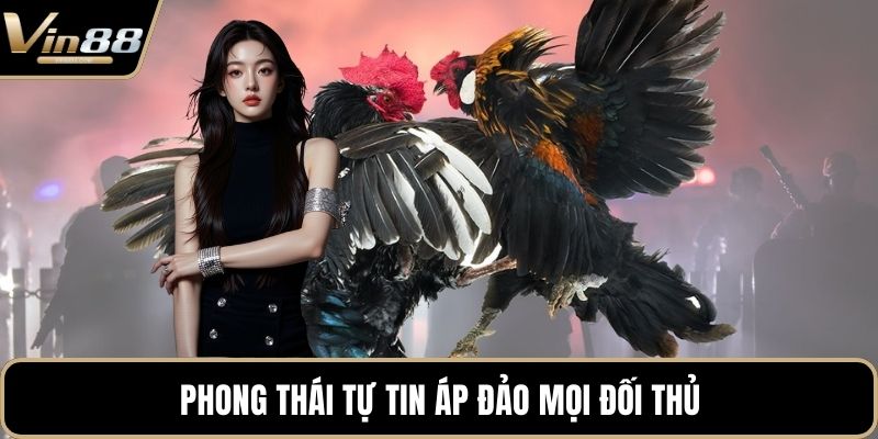 Đá Gà VIN88 - Thiên Đường Chọi Gà Thưởng Cực Khủng - CAXON.TOP