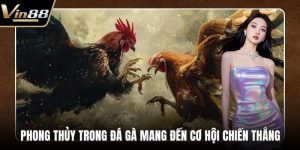 Đá Gà VIN88 - Thiên Đường Chọi Gà Thưởng Cực Khủng - CAXON.TOP
