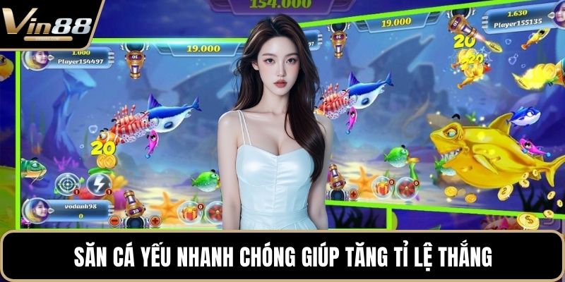 Cách Chơi Bắn Cá Chuẩn Xác Giúp Tân Thủ Săn Thưởng - CAXON.TOP