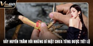 Đá Gà VIN88 - Thiên Đường Chọi Gà Thưởng Cực Khủng - CAXON.TOP