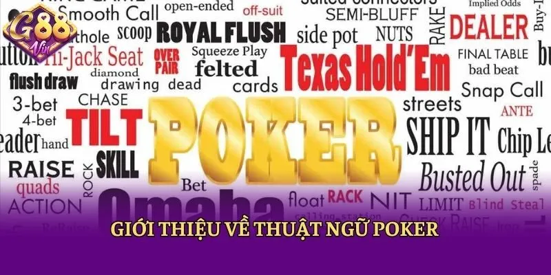 Tổng Hợp Những Thuật Ngữ Poker Người Chơi Cần Nắm Chắc - CAXON.TOP
