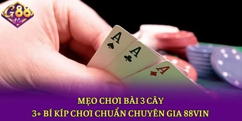 Mẹo Chơi Bài 3 Cây - 3+ Bí Kíp Chơi Chuẩn Chuyên Gia 88vin - CAXON.TOP