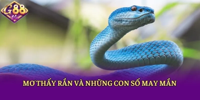 Giải Mã Nằm Mơ Thấy Rắn Và Những Con Số May Mắn Tại 88vin - CAXON.TOP