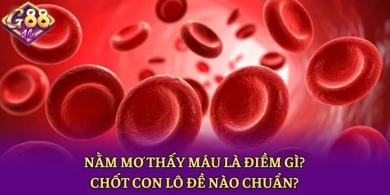 Nằm Mơ Thấy Máu Là Điềm Gì? Chốt Con Lô Đề Nào Chuẩn? - CAXON.TOP