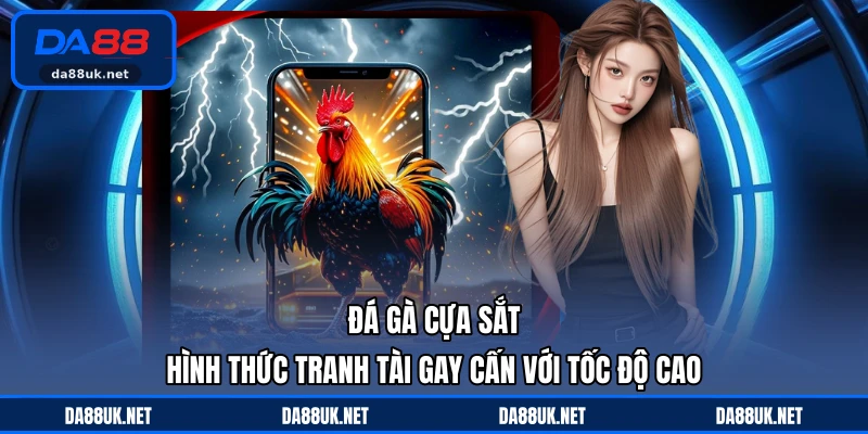 Đá Gà Thomo DA88 - Theo Dõi Những Trận Đấu Đầy Tốc Độ - CAXON.TOP