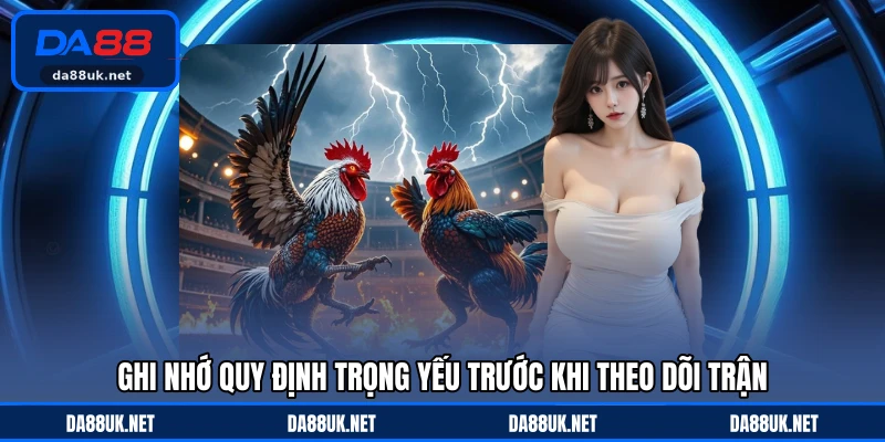 Đá Gà Cựa Sắt - Hình Thức Tranh Tài Gay Cấn Với Tốc Độ Cao - CAXON.TOP