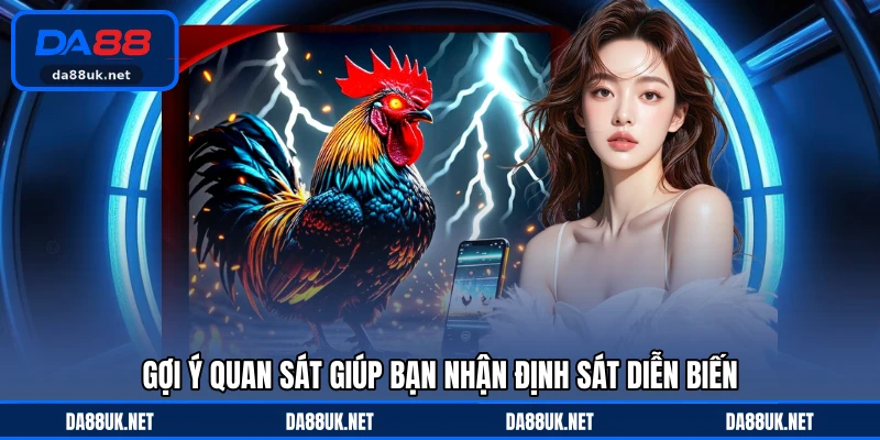 Đá Gà Thomo DA88 - Theo Dõi Những Trận Đấu Đầy Tốc Độ - CAXON.TOP
