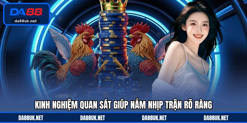 Đá Gà DA88 - Giải Trí Kịch Tính Thu Hút Đông Đảo Người Xem - CAXON.TOP