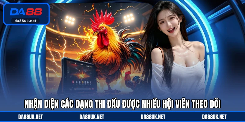 Đá Gà DA88 - Giải Trí Kịch Tính Thu Hút Đông Đảo Người Xem - CAXON.TOP