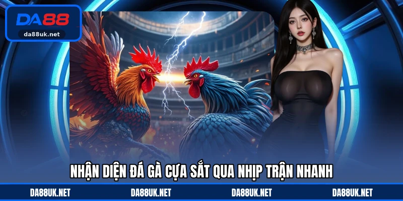 Đá Gà Cựa Sắt - Hình Thức Tranh Tài Gay Cấn Với Tốc Độ Cao - CAXON.TOP