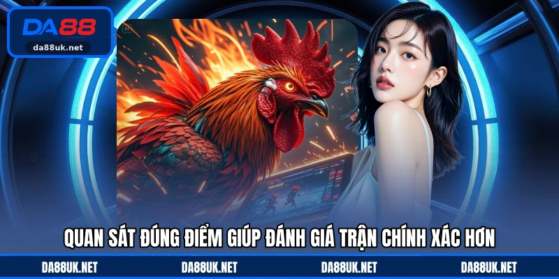 Đá Gà Cựa Sắt - Hình Thức Tranh Tài Gay Cấn Với Tốc Độ Cao - CAXON.TOP